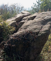 ���ϱ�����ߵ㡪������ɽ�������ͽ��·��----��ľɽ�ŵ�