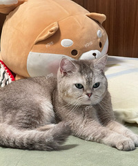 СèѰ�����£���19¥�����Ƹ����������ĸ�С����ҵ����