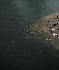 ������Ԥ�������ˣ����������ꡭ��