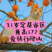 31�갮��ɽ������