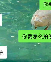 ɥżʽ���鵽����˭�����⣿һ����ϲ������ ��˦���ƹ�