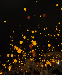 ȥ������һ��Ҫȥ�������ſ����ƣ�̫���ˣ�