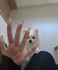 ��ù�����Ҫ����ˣ�������μ��ҵĻ���