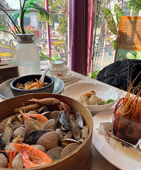 ��Ҷ����Թ������𣿵�һ�����б���ϲ��������ĺ���