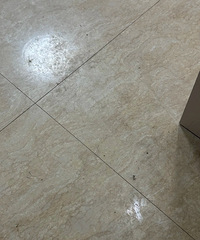 [����]���ֵذ��ϵĶ������յ�����ôŪ�ɾ�����