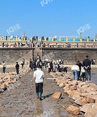 ����Ϻ���ǰ���������ڹۺ�԰��������һ�����зСϺ��