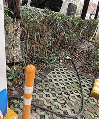 �蹫����԰�ڳ��׮������һĻ ��ô�����˳���粻��صģ�