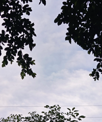 [���]�����ѡ�Ļ�ɴ�տ�ʼ�����Ĳ��� ��Ҳ���޲��ޣ�