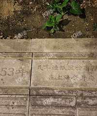 �f��ֿ�ͨ�����������㾹Ȼ�ǵ������̵�ש �����й��µ�ש��