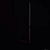 ����ľ��©����ô�죿