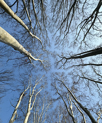 �Ͼ���ɽ�� ���¾��ǳ壡392��̨�� ����ȥ���ɵú�