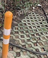 ĳЩ�糵��������������ǵ͡�