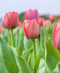 ��ǰ���£�Ҧ�ҵ����������㿪�ˣ�