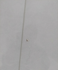 ��ש���и�ȱ�ڣ�Ӧ����ô�죿