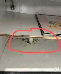 [����]��������Ĺ��ӳ����˺ܶ�ں�ɫ��м����ɶ��