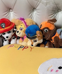 ������߱����ݼ�С����������ô�죿