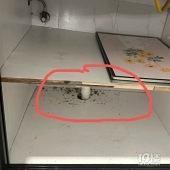 �������ӳ��ֺ�ɫ��м