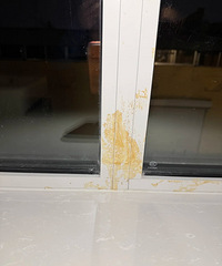 ��û��רҵ���˰�æ�������������ʲô�����а취ȥ����