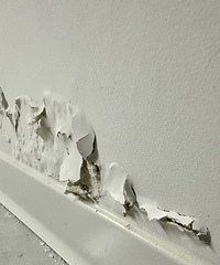 ԡ�ұ����ǽ��û����...�ǲ���ֻ����������ˮ�ˣ�