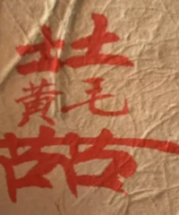 ����������ƴ������ְԽ������ӡ���