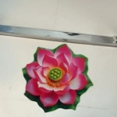 �������ĵص�...