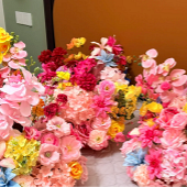 �鷿�������Ʒ��滨��