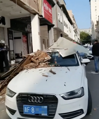 �콵����ƣ�����ͩ��һ����ɫ�µϲ����ҳ���