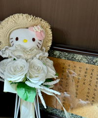 Kitty�ؿ�����?�����������ֱ�ǳ�Ƭ������