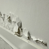 ԡ�ұ����ǽ��û����