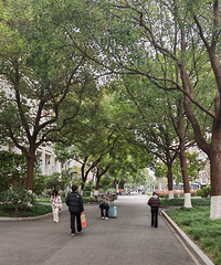 ��ѧ����Ѷ��ٺ��ʣ�ȥ���Ǵ�ѧ�Թ����� һ���з�ʮ����ʮ��Ǯ