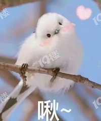 [����]��������Ҫǩ�ְ�Ǩ�� ��û��֪���������ģ�