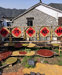 ��شɽ�Ͳ˻���������ĺÿ���ϲ����ɽ�Ŀ��Դ��ߣ�