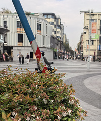 ��¥�ѹ۵㡿���۹������Ҫ�����ˣ������ң���ƽ����