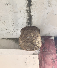 �������������������Ҫ�𣿲�ȷ��������û�����䡭