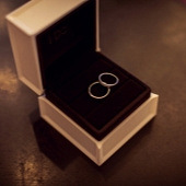 ����������IDO����