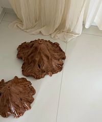 ������������ĵƺÿ����ң�......