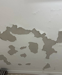 Ϊɶס��û���꣬�컨��������ˣ�