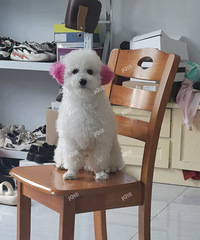 ͩ�缱Ѱ��ͩ������·��ʧ���̩�Ϲ������ؽ��л��