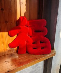 ����Ů��ͩ�磡ѧ����ר����̫�ó�����...