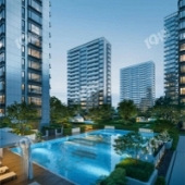 ����԰�·�������5w