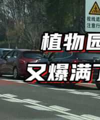 ������ͣ�����ͽ���ȥ�ˡ�