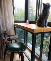 ��ҵ��λ���� 83�걾���� �����໥�����Ľ�����