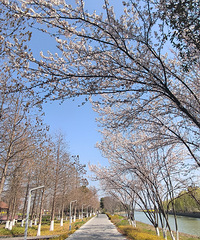 �������̵���һ·�Ͻ��ɫ���Ͳ˻�������������