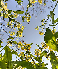 �������̵���һ·�Ͻ��ɫ���Ͳ˻�������������