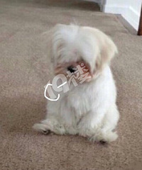 ���˷�����ͻع鼸��ǰ��...