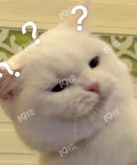 ���·�ΪʲôҪ���н��أ�