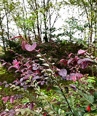 ��ĩ����ȥ������