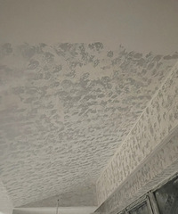 ������ˢ��������ֻ�ܴ��ȥ����Ū��...