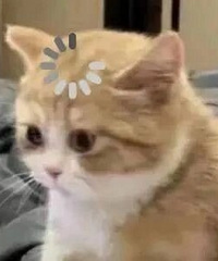 [����]�������δ�������ǣ���ѧ�����⣬�����ûɶ����...