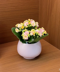 ����ʡǮ�ľӼ�������δ��Ů���飡��88��